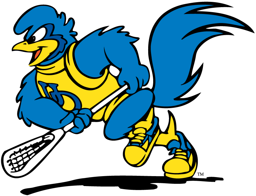 delaware blue hens 1993-pres mascot Logo v4 iron on transfers for clothing